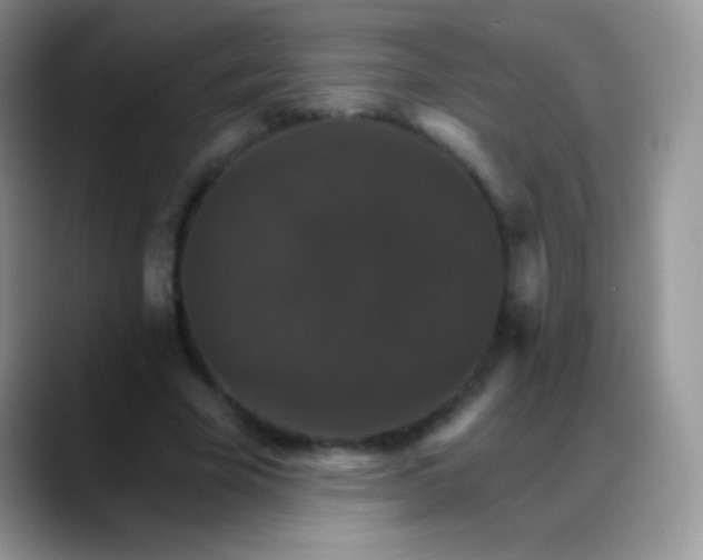 X0000088200585200705292034