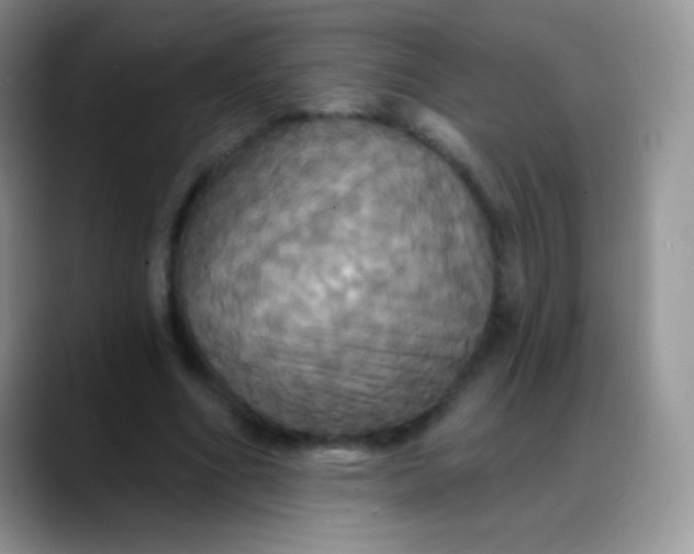 X0000088200586200705292034