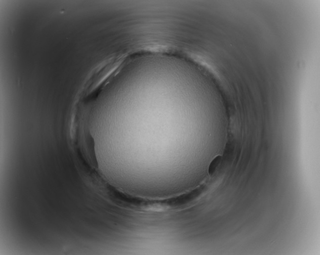 X0000088200587200705292034