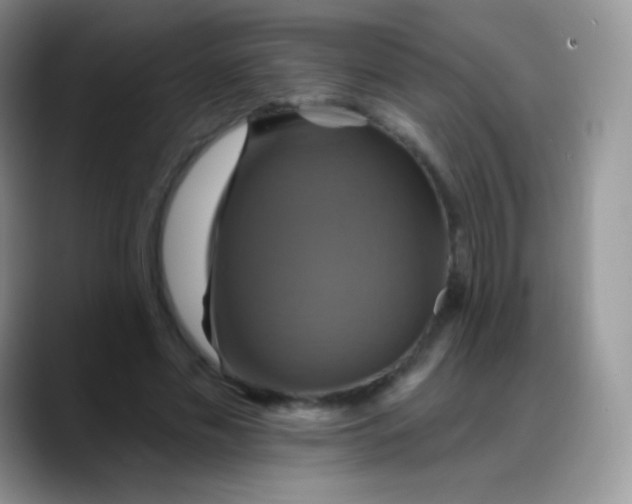 X0000088200589200705292034