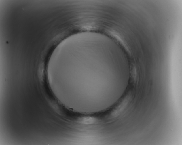 X0000088200590200705292034