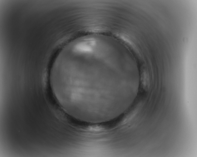 X0000088200591200705292034