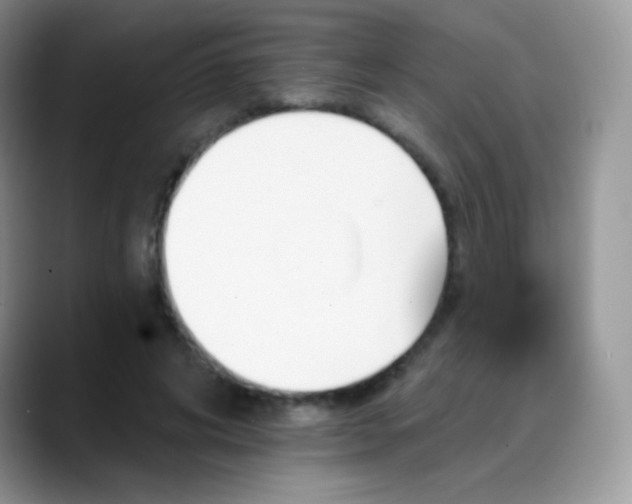 X0000088200592200705292034