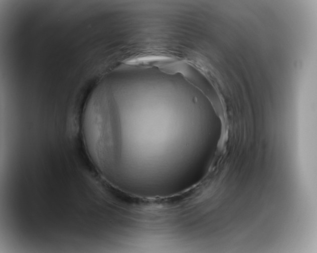 X0000088200593200705292034