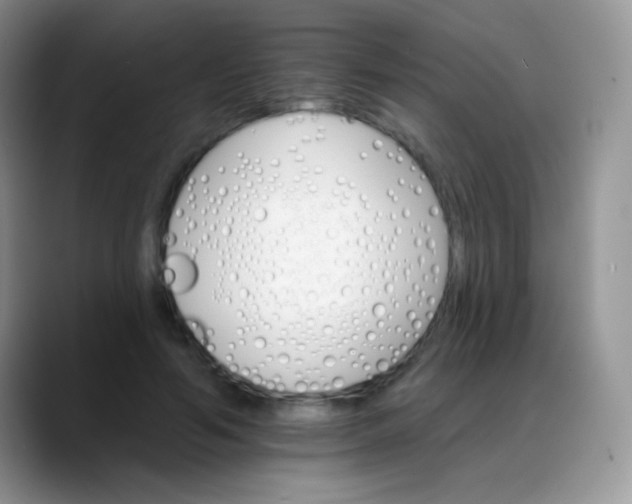 X0000088200594200705292034