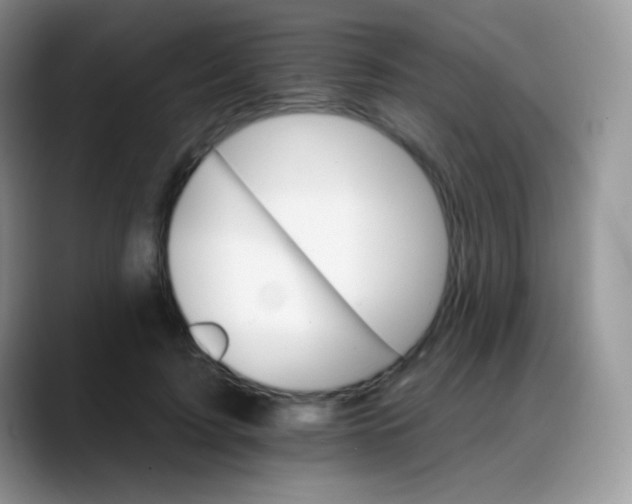 X0000088200595200705292034