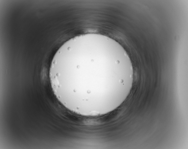 X0000088200598200705292034