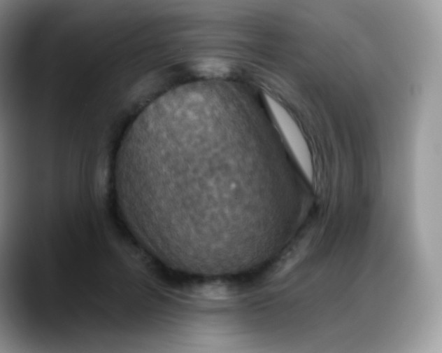 X0000088200600200705292034