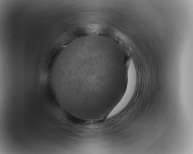 X0000088200601200705292034