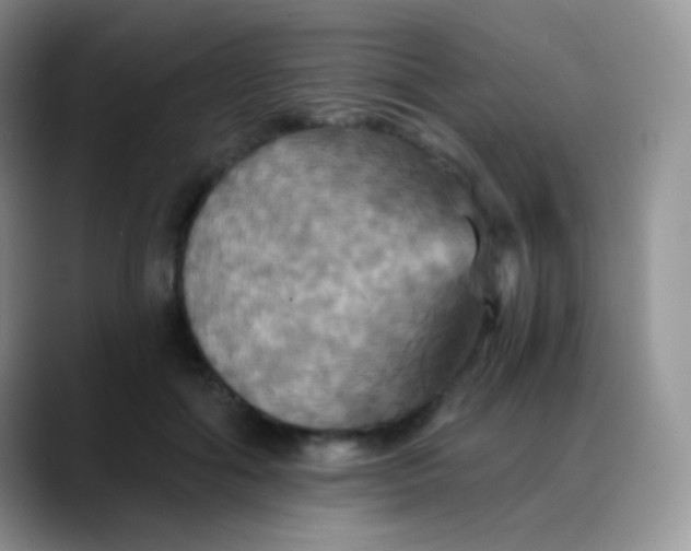 X0000088200602200705292034