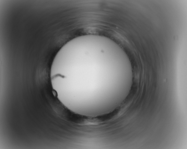 X0000088200603200705292034