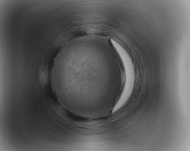 X0000088200604200705292034