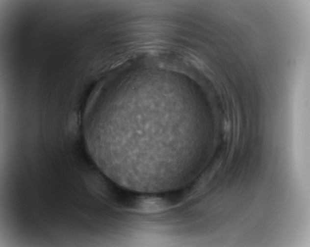 X0000088200605200705292034