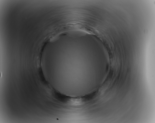 X0000088200606200705292034