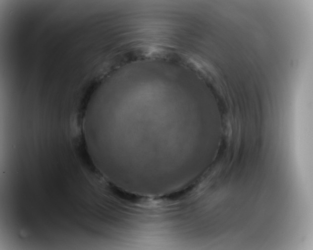 X0000088200607200705292034