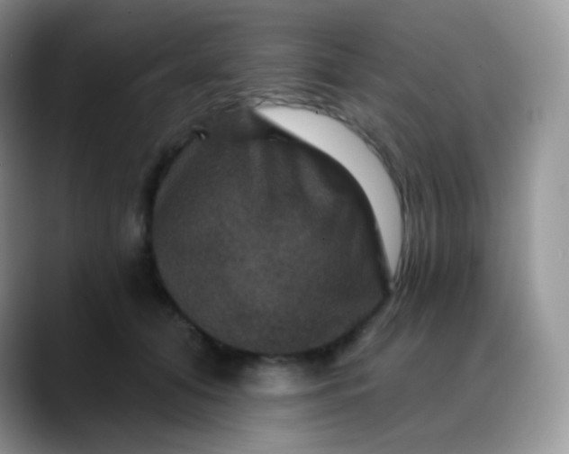 X0000088200608200705292034