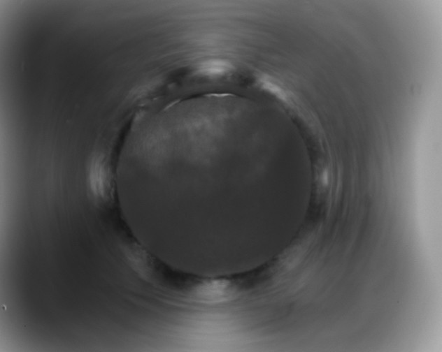 X0000088200609200705292034