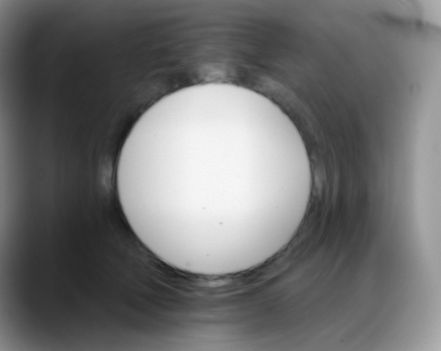 X0000088200610200705292034