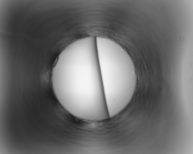 X0000088200611200705292034