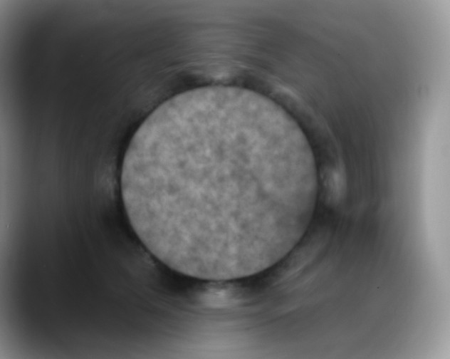 X0000088200612200705292034