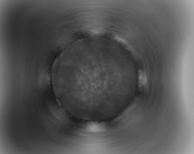 X0000088200613200705292034