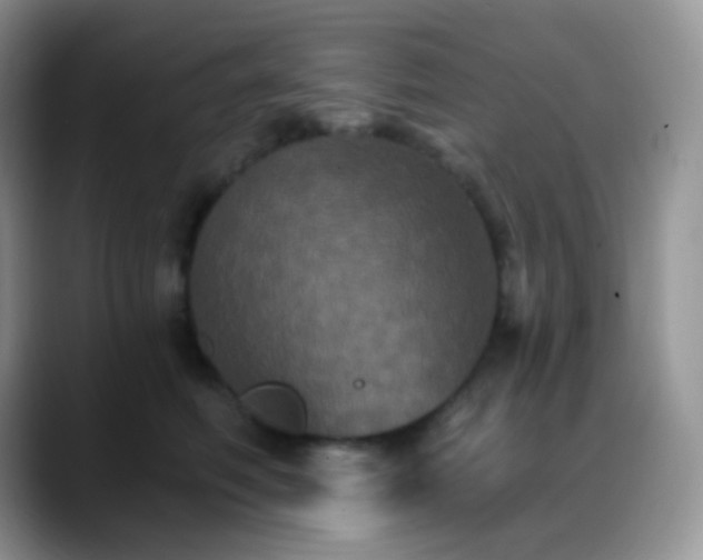 X0000088200614200705292034