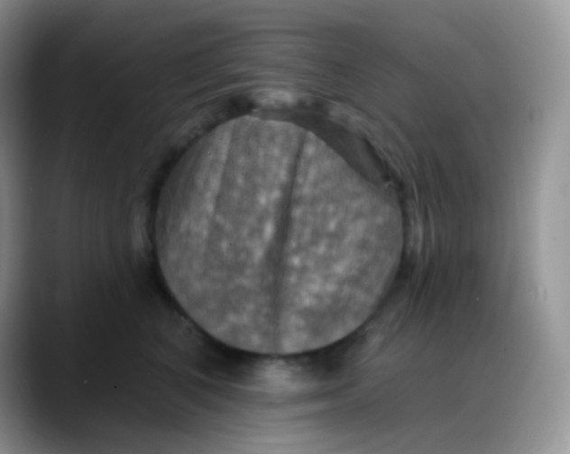 X0000088200616200705292034