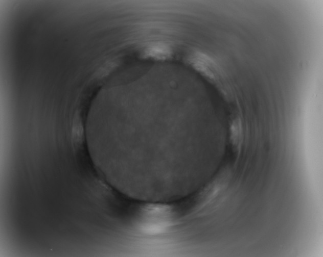 X0000088200617200705292034