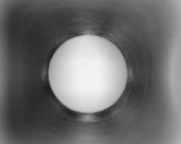 X0000088200618200705292034