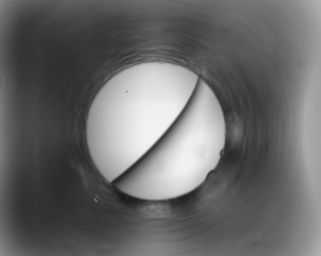 X0000088200619200705292034