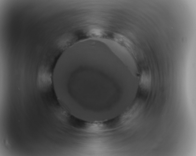 X0000088200621200705292034