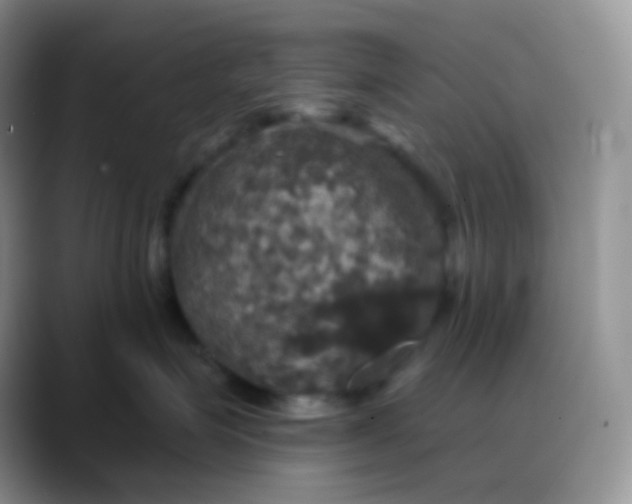 X0000088200623200705292034