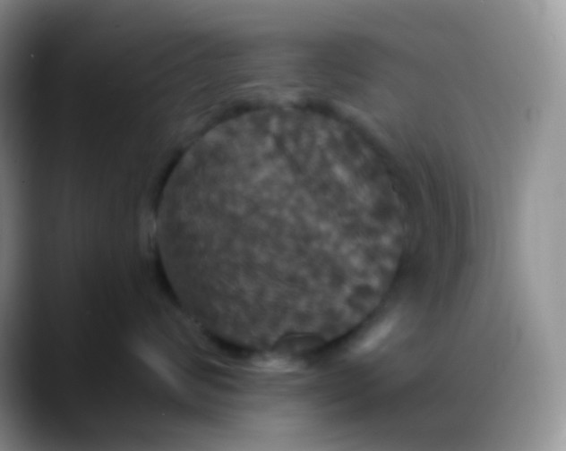 X0000088200624200705292034