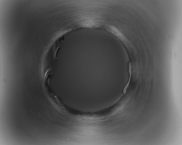 X0000088200626200705292033