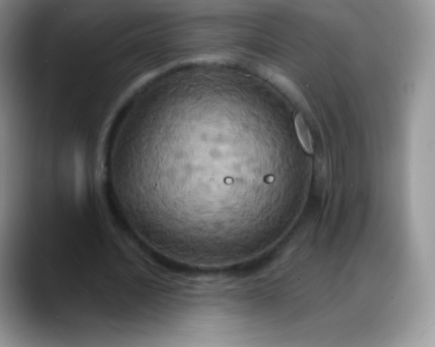 X0000088200628200705292033