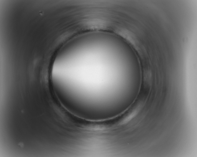 X0000088200629200705292033