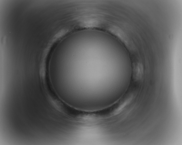 X0000088200631200705292033