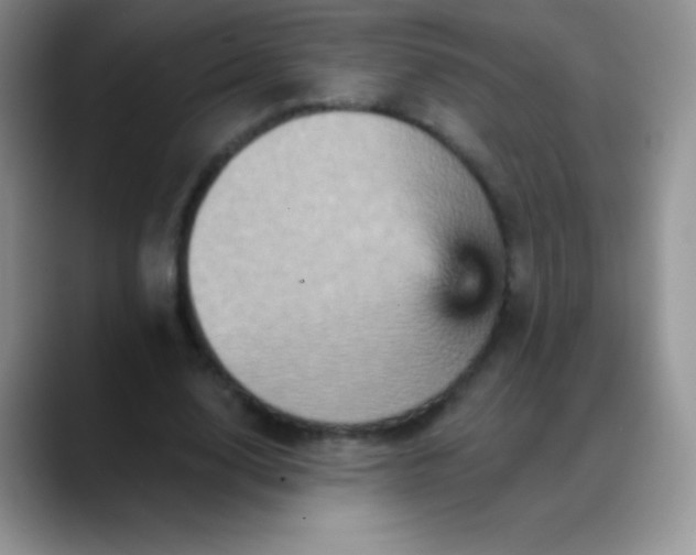 X0000088200632200705292033