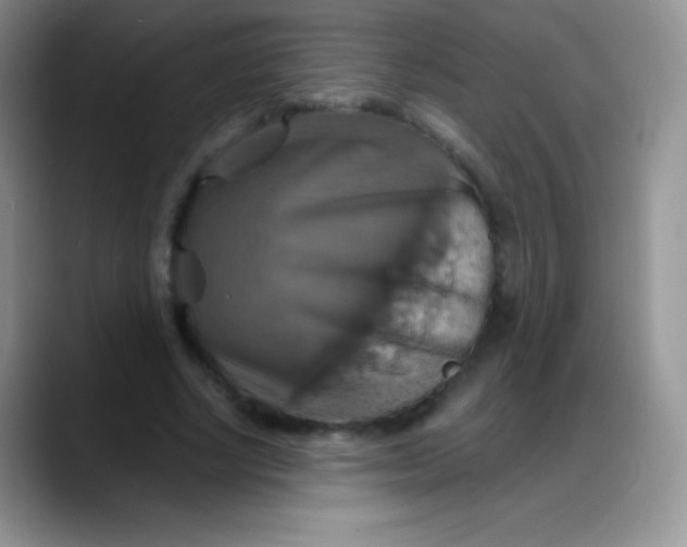 X0000088200634200705292033