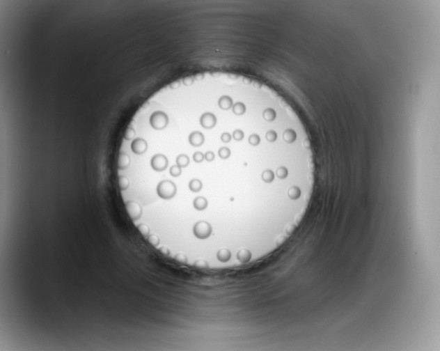 X0000088200635200705292033