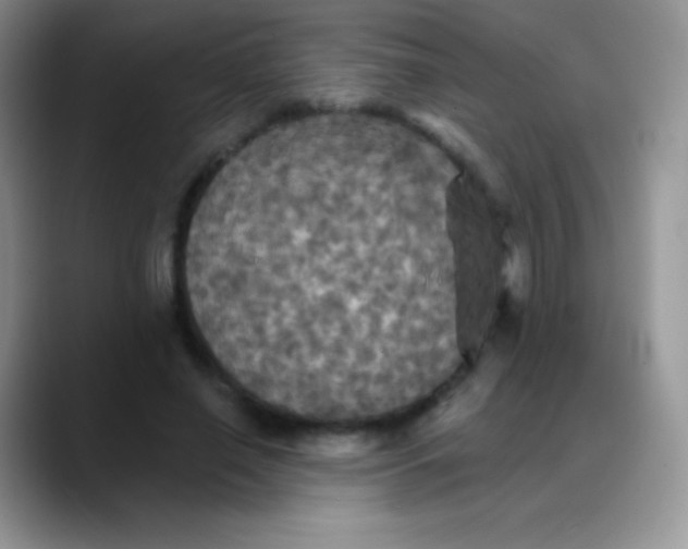 X0000088200638200705292033