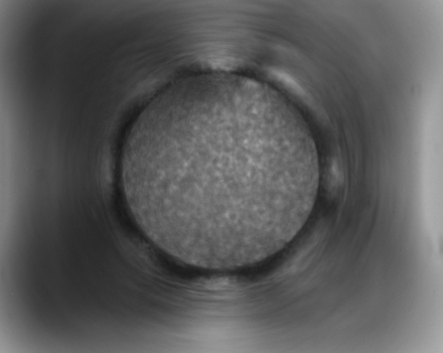 X0000088200639200705292033