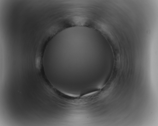 X0000088200641200705292033