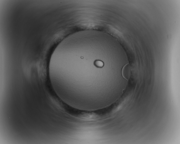 X0000088200642200705292033