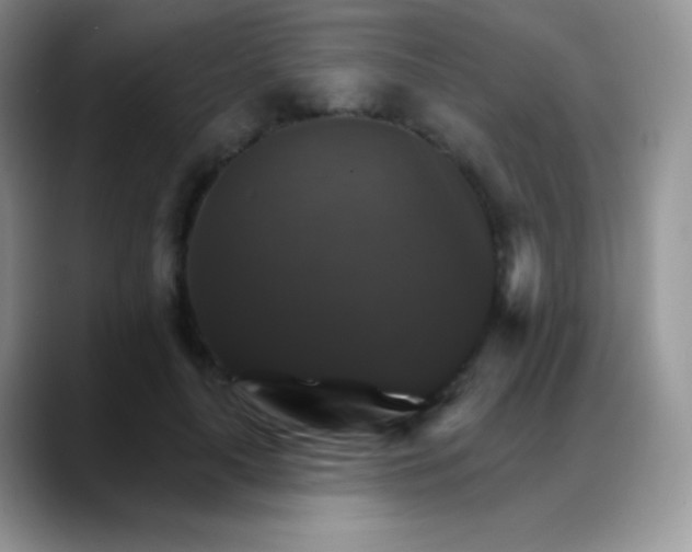 X0000088200643200705292033