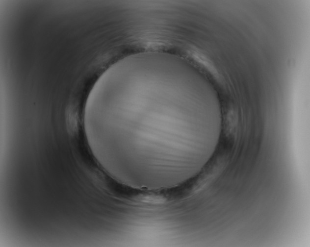 X0000088200644200705292033