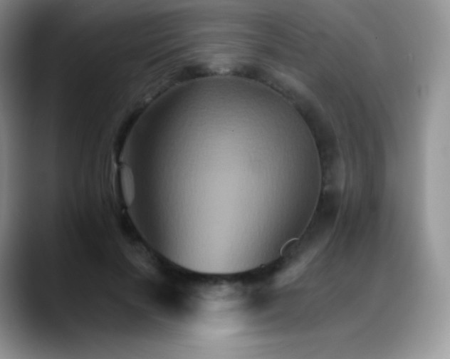 X0000088200646200705292033