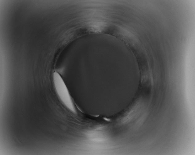 X0000088200647200705292033