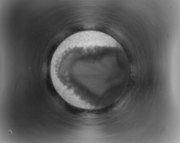 X0000088200648200705292033