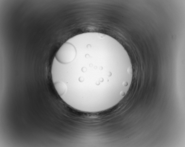 X0000088200651200705292033